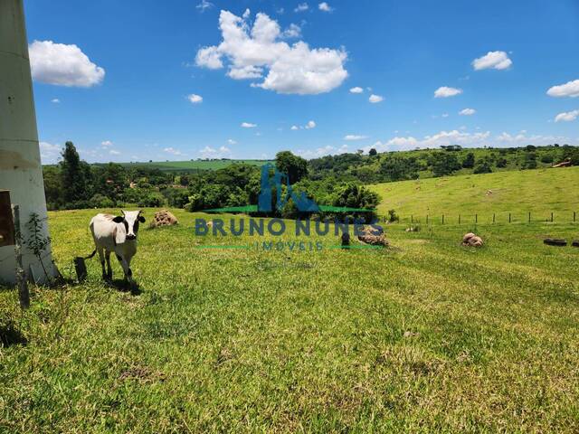 Venda em Área Rural de Artur Nogueira - Artur Nogueira