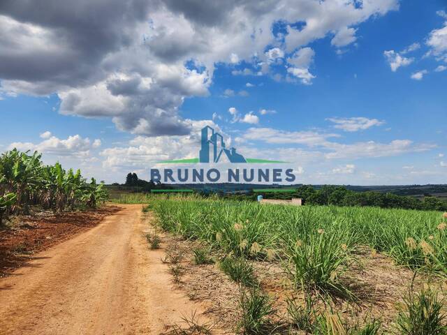 Venda em Área Rural de Artur Nogueira - Artur Nogueira